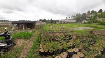 Gambar 3 Dijual Tanah di Cihideung Lembang Cocok untuk Cluster atau Usaha Kebun Bunga