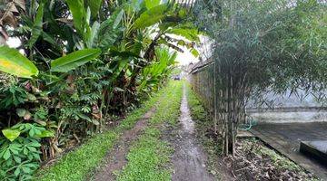 Gambar 5 Tanah Tebing Dengan Panorama Hutan Dan Sungai Di Ubud Bali