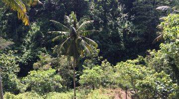 Gambar 3 Tanah Tebing Dengan Panorama Hutan Dan Sungai Di Ubud Bali