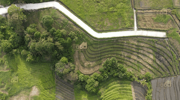 Gambar 1 Dijual Tanah Eksklusif di Kedungu, Tabanan Bali