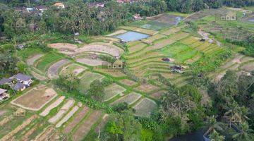 Gambar 1 Di Jual Tanah Kavling Semana Ubud Gianyar Bali