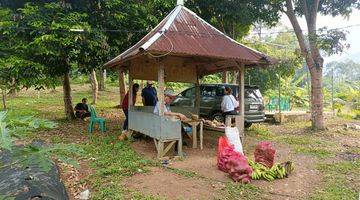 Gambar 4 Jual Tanah Kebun di Kampung Pasir Pare, Serang