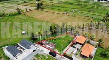 Gambar 3 Tanah di Sayan Ubud, Gianyar SHM 330 m² View Sawah