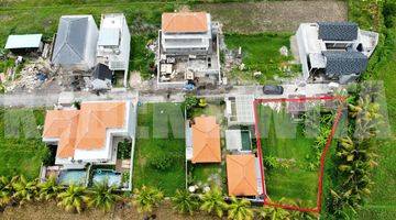 Gambar 4 Tanah di Sayan Ubud, Gianyar SHM 330 m² View Sawah