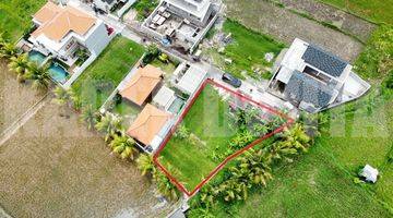 Gambar 5 Tanah di Sayan Ubud, Gianyar SHM 330 m² View Sawah