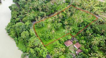 Gambar 2 Tanah di Telaga Tunjung Timpag, Tabanan SHM 5.800 m²