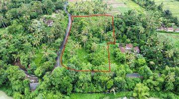 Gambar 3 Tanah di Telaga Tunjung Timpag, Tabanan SHM 5.800 m²