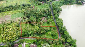 Gambar 4 Tanah di Telaga Tunjung Timpag, Tabanan SHM 5.800 m²