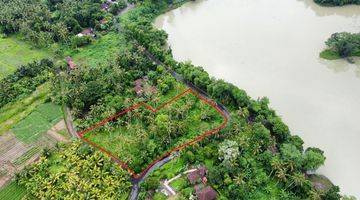 Gambar 5 Tanah di Telaga Tunjung Timpag, Tabanan SHM 5.800 m²