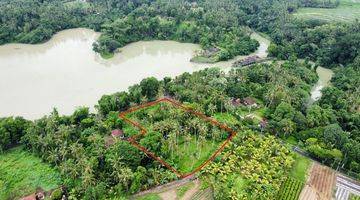 Gambar 1 Tanah di Telaga Tunjung Timpag, Tabanan SHM 5.800 m²