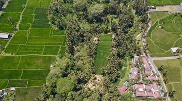 Gambar 4 Tanah View Air Terjun Sawah Sungai di Kenderan Tegalalang, Ubud Gianyar SHM 13.000 m² 