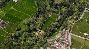 Gambar 5 Tanah View Air Terjun Sawah Sungai di Kenderan Tegalalang, Ubud Gianyar SHM 13.000 m² 