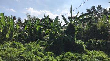 Gambar 1 Tanah 4 Are Di Silungan Lodtunduh Ubud Gianyar Dkt Monkey Forest