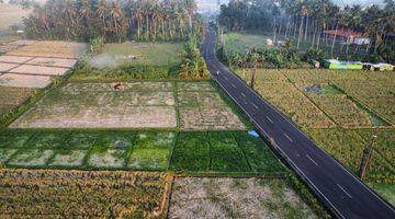 Gambar 5 Tanah Prime Di Area Ciputra Beach Kediri Tabanan Dekat Kedungu 