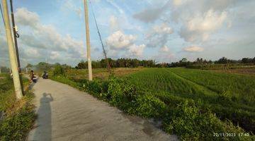 Gambar 1 Tanah View Sawah Di Kedungu Belalang Tabanan Dekat Canggu Nyanyi