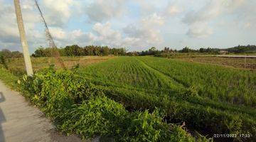 Gambar 2 Tanah View Sawah Di Kedungu Belalang Tabanan Dekat Canggu Nyanyi