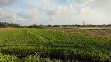 Gambar 5 Tanah View Sawah Di Kedungu Belalang Tabanan Dekat Canggu Nyanyi