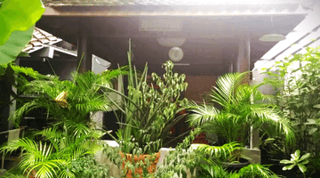 ruang keluarga rumah bagus unfurnished di jalan