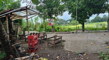 Gambar 2 Tanah Utara Masjid Agung di Jalan Bantul jogja Km 10 Siap Bangun 