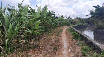 Gambar 1 Tanah view sawah seminyak