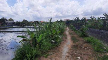 Gambar 4 Tanah view sawah seminyak