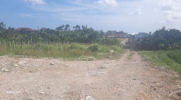 Gambar 4 Tanah view sawah Kerobokan dekat Seminyak