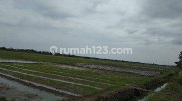 Gambar 4 Jual Tanah Dampyak Tegal,harga Kompetitif