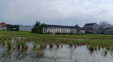 Gambar 5 TANAH LINGKAR TIMUR CANDI 8295 METER MURAH