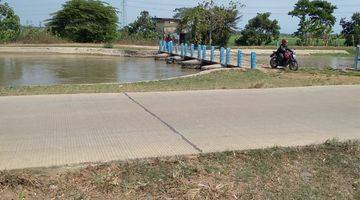 Gambar 1 Sawah Produktif di Cipunagara Subang, Dekat Saluran Irigasi Utama