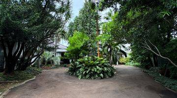 Gambar 4 For Sale Classic House Huge Garden At Cilandak Jakarta Selatan 