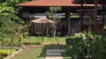 Gambar 1 Tanah Bonus Joglo Cocok Untuk Villa di Saba, Gianyar 