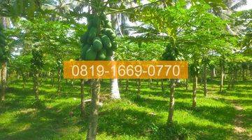 Gambar 2 Jual Tanah Denpasar Gilimanuk 10575m2 94FE06 