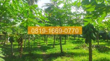 Gambar 4 Jual Tanah Denpasar Gilimanuk 10575m2 94FE06 