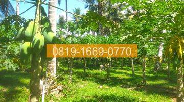 Gambar 5 Jual Tanah Denpasar Gilimanuk 10575m2 94FE06 