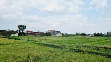 Gambar 3 Tanah Sawah 1.805m² Dekat Exit Tol Ngasem Colomadu KRA