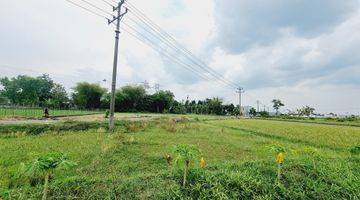 Gambar 1 Tanah Sawah 1.805m² Dekat Exit Tol Ngasem Colomadu KRA