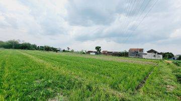 Gambar 5 Tanah Sawah 1.805m² Dekat Exit Tol Ngasem Colomadu KRA