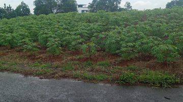 Gambar 2 Tanah Luas 900 M2 di Telaga Kahuripan, Kemang, Kab. Bogor, Jawa Barat