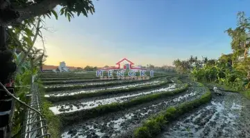 Gambar 2 Villa Brawa Canggu