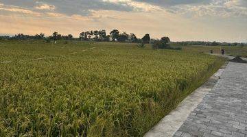 Gambar 4 Tanah 400m2 Shm Di Pasut Tabanan Bali Dekat Pantai