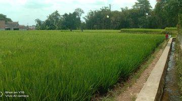 Gambar 2 Tanah Sawah Darat Ciaul Sukabumi 