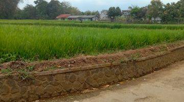 Gambar 5 Tanah Sawah Darat Ciaul Sukabumi 