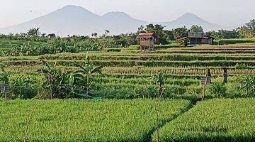 Gambar 4 Tanah Cantik kawasan Krobokan Badung Bali