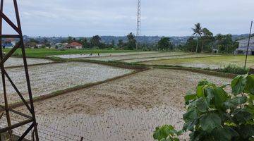 Gambar 4 Investasi Kavling + Sawah, Bonus Rumah Villa