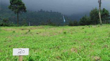 Gambar 4 Tanah Kavling Desa Wisata Panoramic Highland Puncak 1000 Mdpl