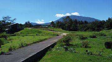 Gambar 1 Tanah 100 SHM m² di Puncak Bogor Jawa Barat