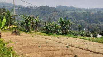 Gambar 2 Tanah SHM 1.1 Hektare di Taman Safari Puncak Bogor