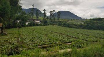 Gambar 5 Tanah SHM 1.1 Hektare di Taman Safari Puncak Bogor