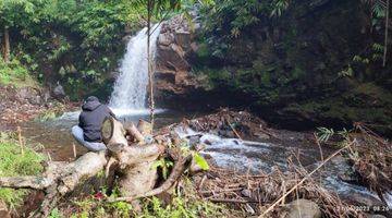 Gambar 2 Tanah SHM Ketinggian 1000 Mdpl Sejuk Dekat Wisata Alam