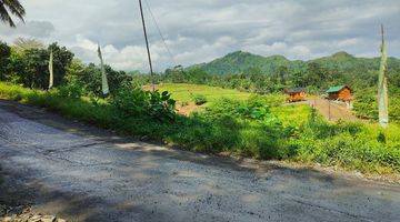 Gambar 4 Tanah SHM Di Kawasan Wisata Alam View Sawah Dan Pegunungan 